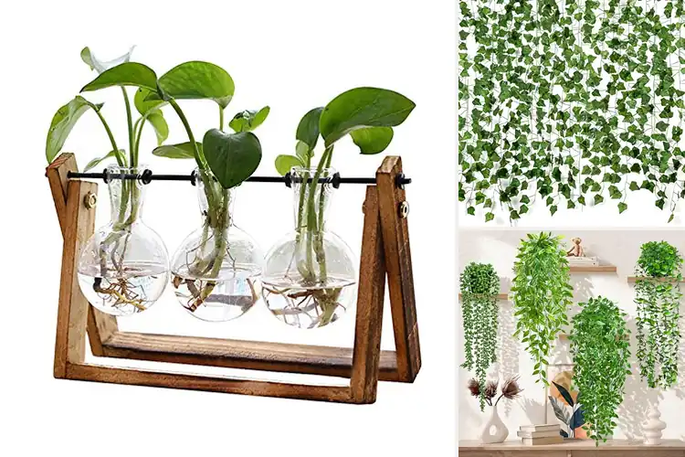 Detailed view of Best Botanical Decor