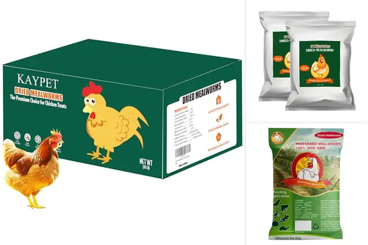 Detailed view of Best Bulk Mealworms: Top Picks for Happy, Healthy Pets