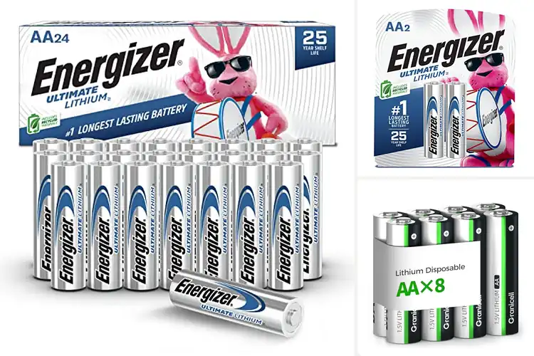 Detailed view of Best Extreme Temperature Batteries