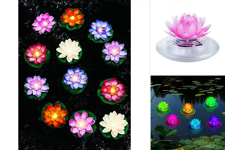 Detailed view of Best Floating Garden Lights