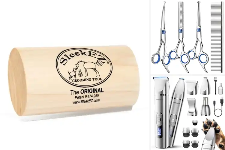 Detailed view of Best Grooming Tools