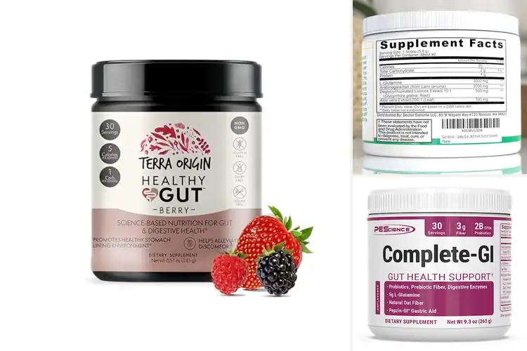Detailed view of Best Gut Health Powders for Daily Energy & Digestion