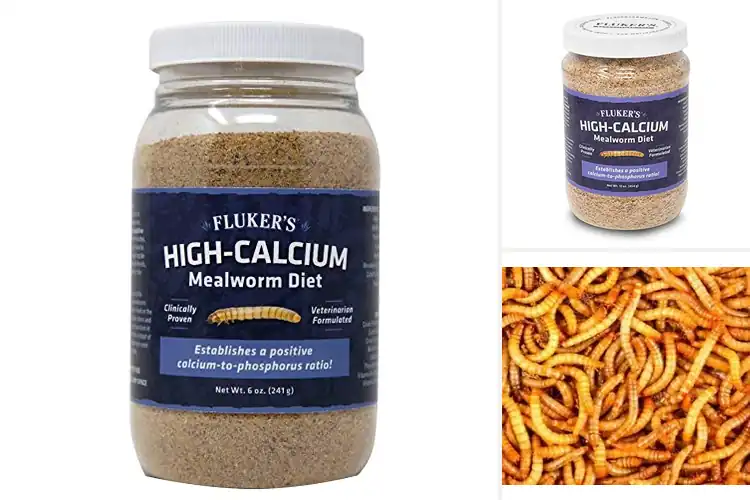 Detailed view of Best Gut-Loaded Mealworms