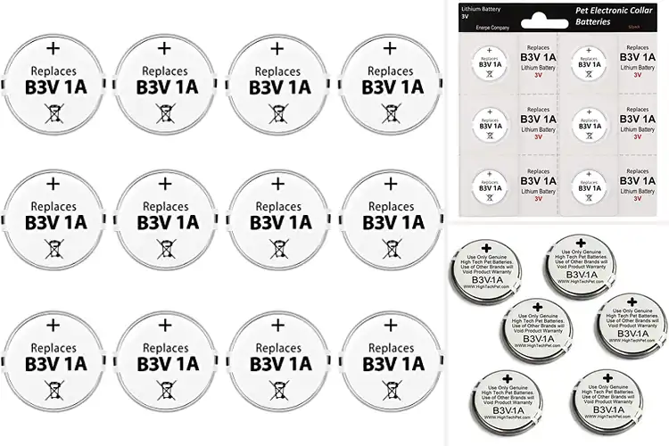 Detailed view of Best High Tech Batteries
