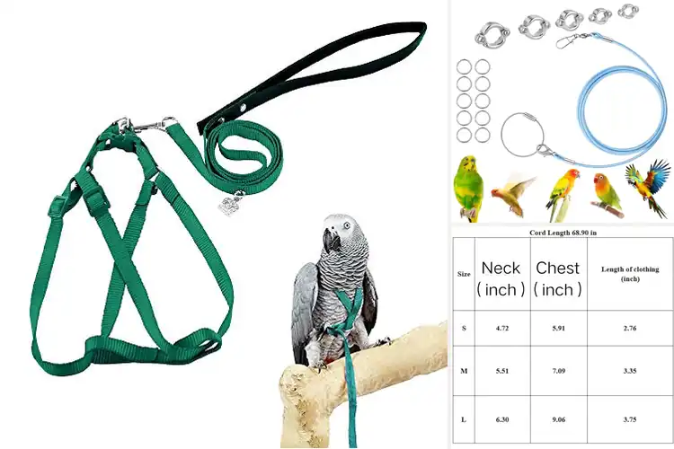 Detailed view of Best Leashes for Cockatoos: Safe & Happy Outdoor Adventures