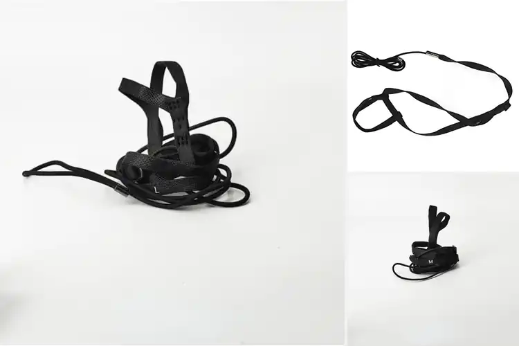 Detailed view of Best Nylon Webbing Bird Leashes