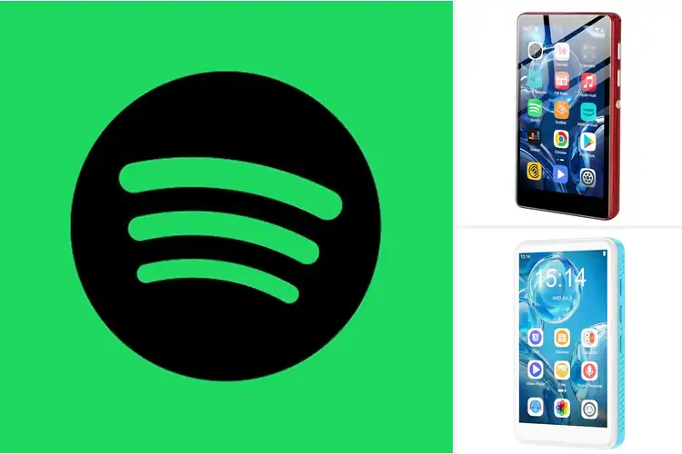 Detailed view of Best Spotify Connect Music